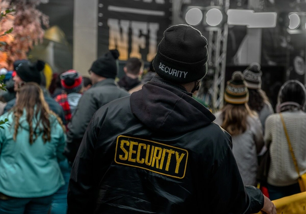 How Does the Government and Diplomatic Presence Influence Security Needs