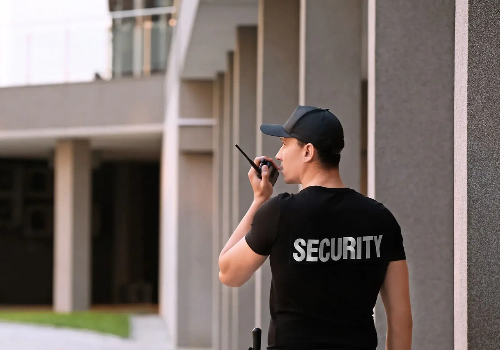 What Exactly Are Managed IT Security Services